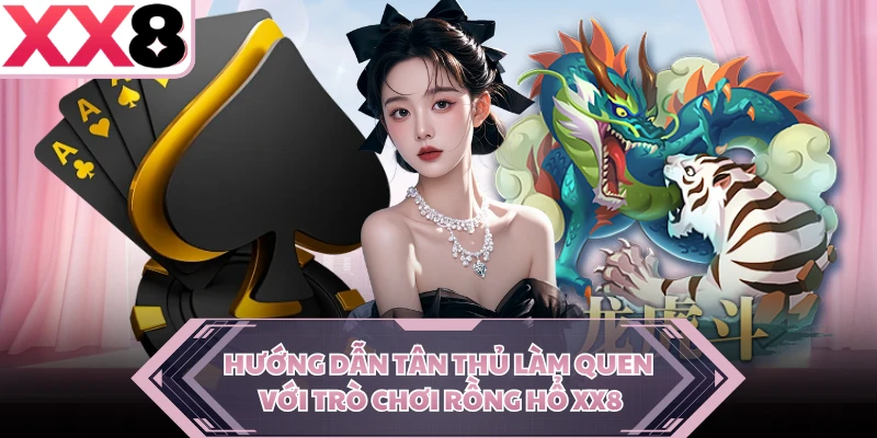 Hướng dẫn tân thủ làm quen với trò chơi Rồng Hổ XX8 